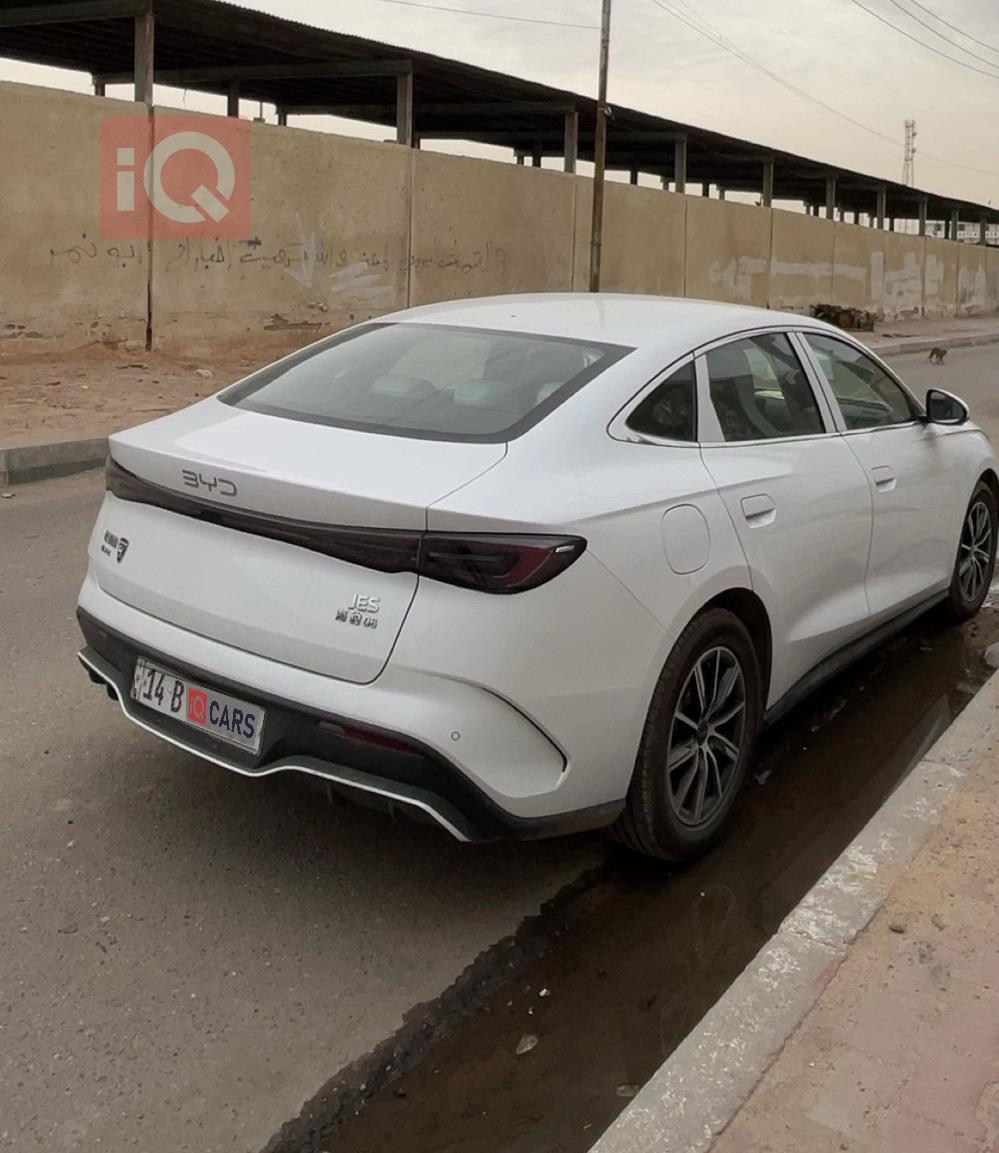 بي واي دي سيل 06 DM-i